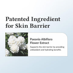 DR. ALTHEA - 147 Barrier Cream Daily Skin Barrier Repair Care