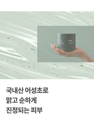ANUA - Heartleaf 77% Toner Pad - 160ml